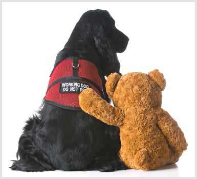 More on Assistance/Service Dogs — Emotional Support Dogs